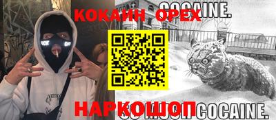 прущие крисы Аргун